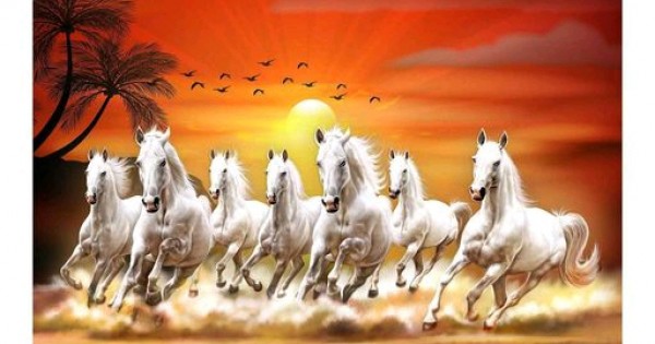 Beautiful seven horse running at Sunrise Self Adesive Wallpaper Beautiful seven horse running at Sunrise Self Adesive Wallpaper