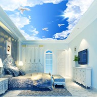 Custom Ceiling Wallpaper Design