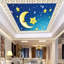 Moon and Star Ceiling Wallpaper