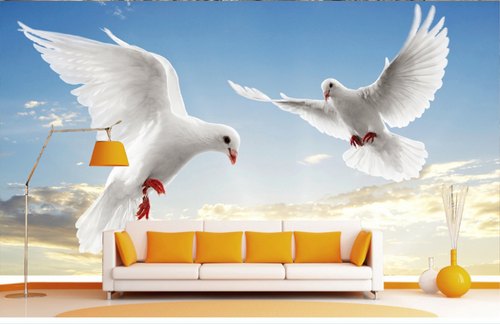 Pigeon HD wallpaper