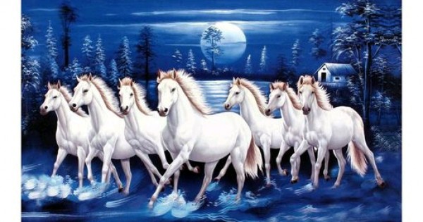 Seven Horse running at night Self Adesive Wallpaper
